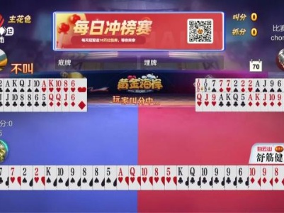 谁是赢家20231125