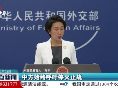 外交部发言人：中方欢迎有关方面达成临时停火协议
