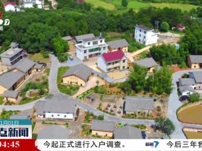 整点新闻20231101 12：00