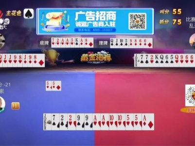 谁是赢家20231130