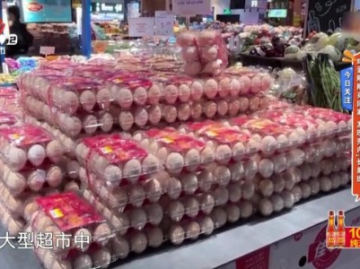 地宝当家20231114