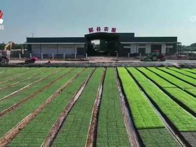 江西：机械化新技术助力油菜播种