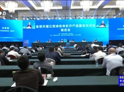 三农头条20231122
