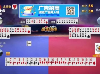 谁是赢家20231118