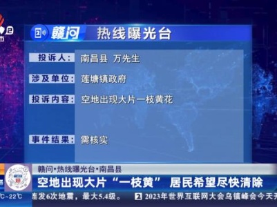 【赣问·热线曝光台】南昌县：空地出现大片“一枝黄”居民希望尽快清除