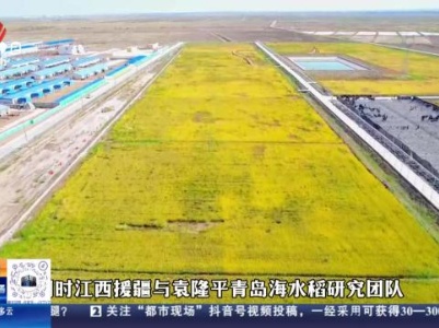 都市现场20231125