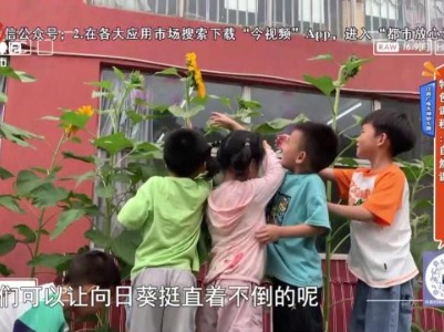 江西广电大湖幼儿园——特色课程：自然课