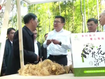 梁桂在宜春调研绿色生态产业发展工作