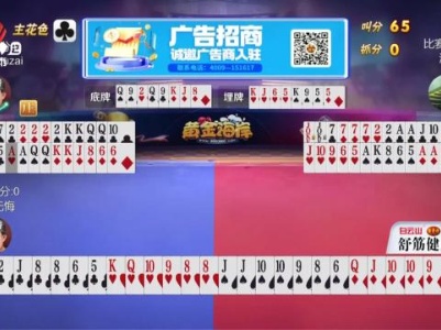 谁是赢家20231128