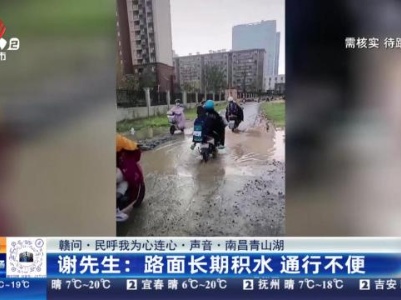 【赣问·民呼我为心连心·声音·南昌青山湖】谢先生：路面长期积水 通行不便