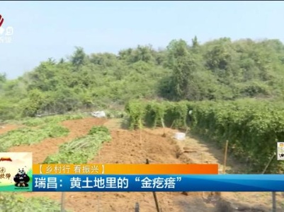 新闻晚高峰20231101