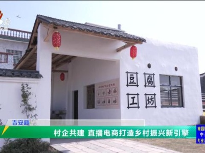三农头条20231117