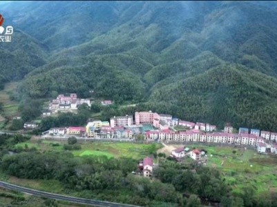 乡村梦想家——大山里的音乐课