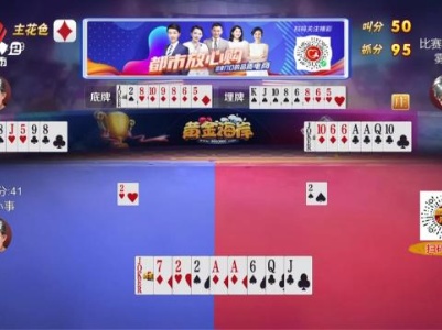 谁是赢家20231121