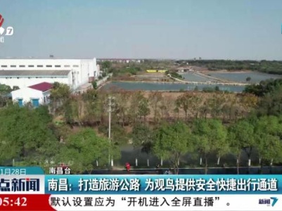 南昌：打造旅游公路 为观鸟提供安全快捷出行通道
