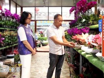 种生活——花与盆的相互成就