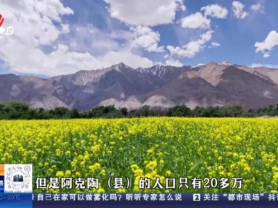 都市现场20231120