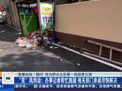 都市现场·午间版20231122