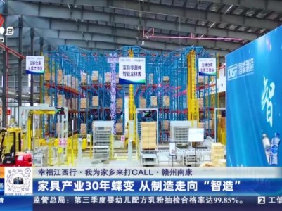 都市现场20231116
