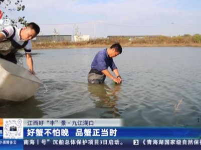 【江西好“丰”景】九江湖口：好蟹不怕晚 品蟹正当时