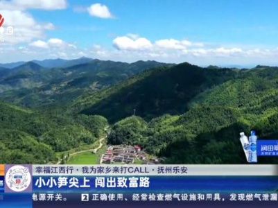 都市现场·午间版20231121