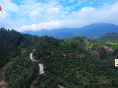 新闻晚高峰20231112