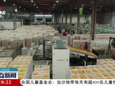 整点新闻20231103 14：00