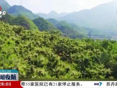 新闻夜航20231112