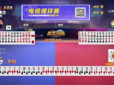 谁是赢家20231114