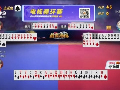 谁是赢家20231112