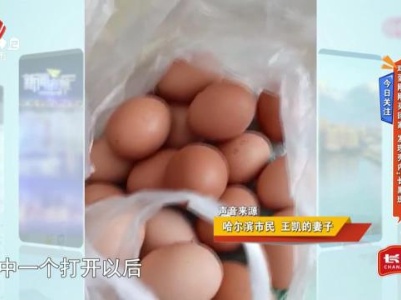 今日关注——鸡蛋刚刚买回家 发现壳内“长黑斑”