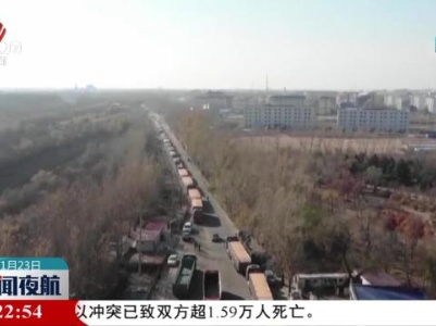 全国秋粮收购已累计超6000万吨