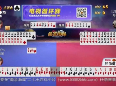 谁是赢家20231108
