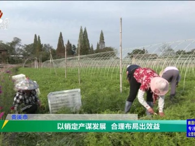 三农头条20231118