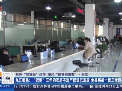 都市现场20231122