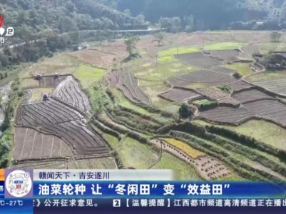 都市现场·午间版20231104