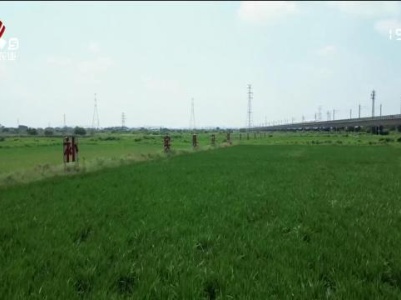 农事帮帮帮20231102