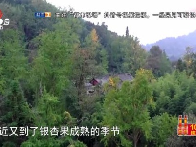 地宝当家20231123