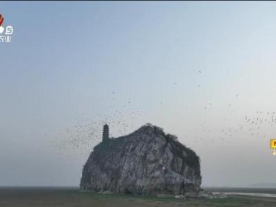 新闻晚高峰20231127
