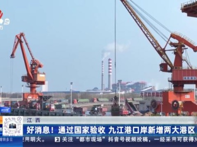 都市现场20231121