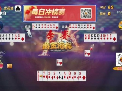 谁是赢家20231103