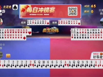 谁是赢家20231107