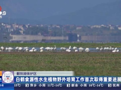 都市现场·午间版20231111