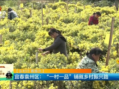 【乡村行 看振兴】宜春袁州区：“一村一品”铺就乡村振兴路