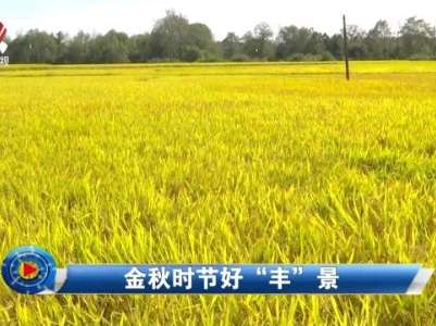 社会传真20231107 金秋时节好“丰”景 ”