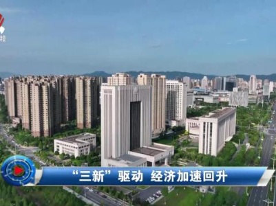 社会传真20231114 “三新”驱动 经济加速回升