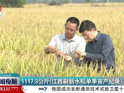 1117.3公斤！江西刷新水稻单季亩产纪录