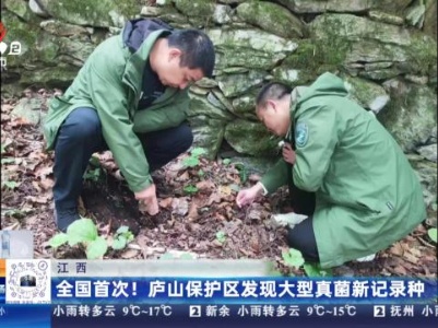 江西：全国首次！庐山保护区发现大型真菌新记录种