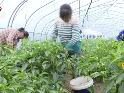 新闻晚高峰20231111