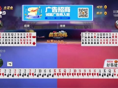 谁是赢家20231116